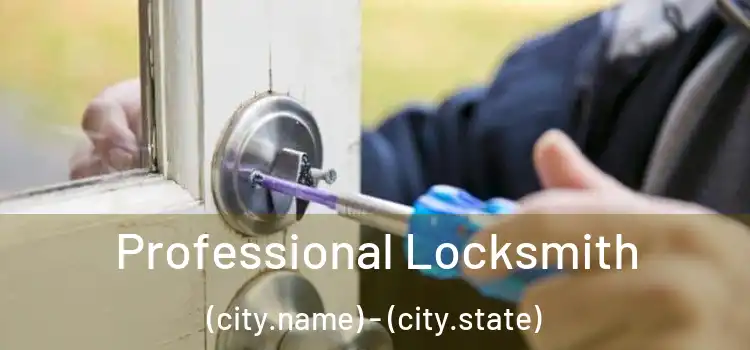 Professional Locksmith (city.name) - (city.state)